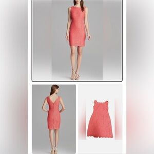 Elegant Coral Sleeveless Dress The Adrianna Papell Boatneck Lace Sheath Dress 4